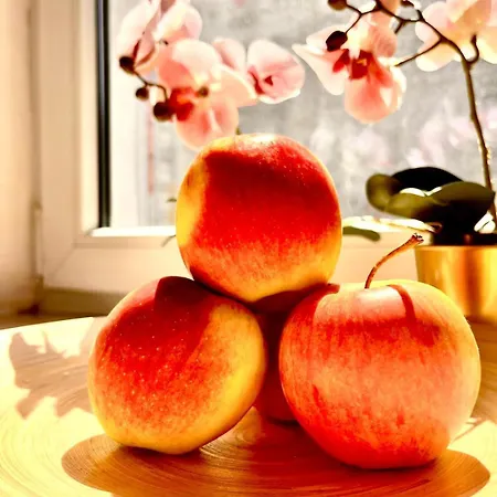 1room Warszawacenter * Βαρσοβία